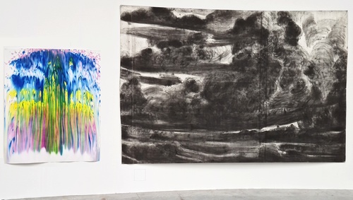 Miriam Cahn artiste